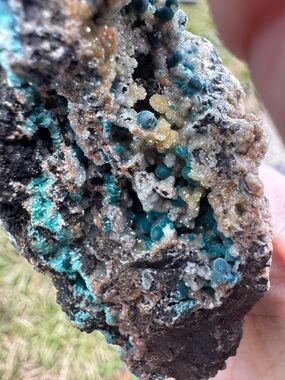 Vibrant Turquoise botryoidal mineral specimen